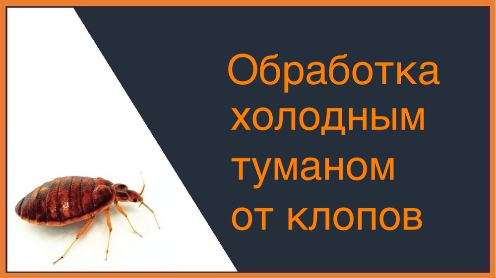 Обработка холодным и горячим туманом от клопов в Воронеже